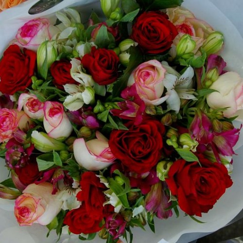 Flowers Stems Flower Market