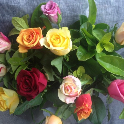 Flowers & Bouquets Ballarat Stems Flower Market