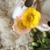 Stems Gift Vouchers - Image 4