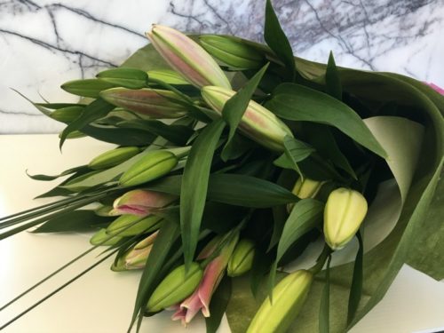 Lily Love at Stems