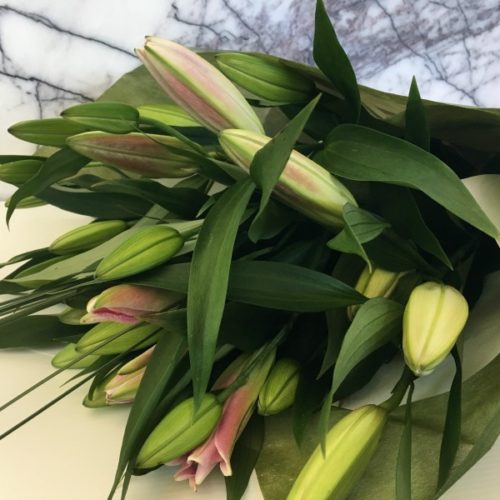 Flowers & Bouquets Ballarat Stems Flower Market