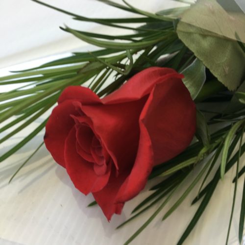 Flowers & Bouquets Ballarat Stems Flower Market