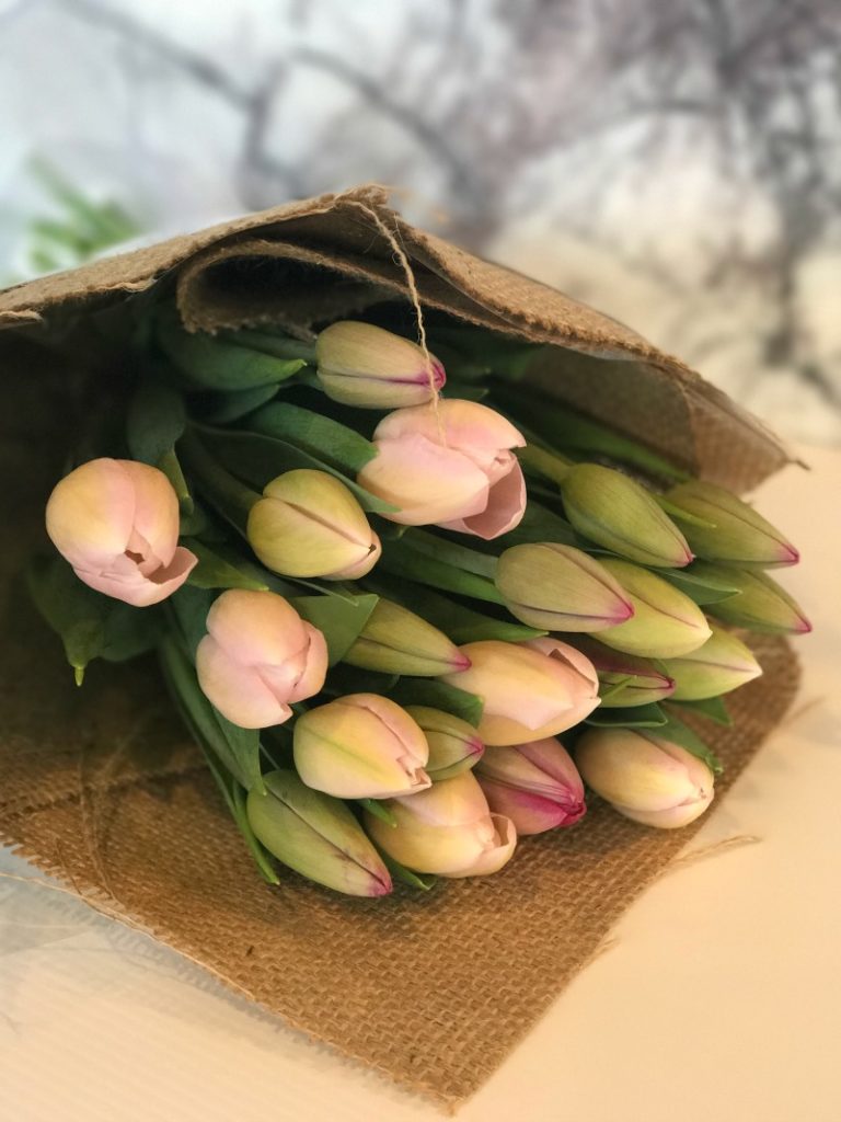 Tulips Stems Flower Market