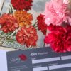 Stems Gift Vouchers - Image 2