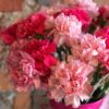 Stems Gift Vouchers - Image 3