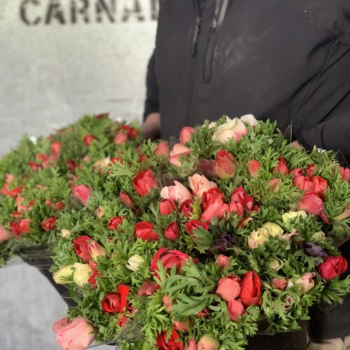 Anenomes Stems Flower Market