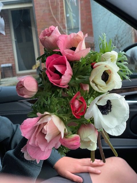 Anenomes - Image 3