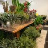 Stems Gift Vouchers - Image 6