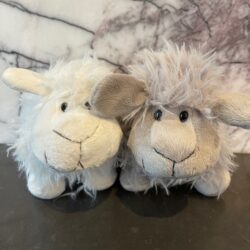 Sheep face cute at Stems