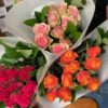 Roses - colour my world - Image 2
