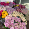 Roses - colour my world - Image 3