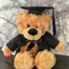 Graduation Bears - Image 2