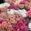Think Pink - Image 2