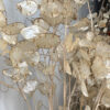 Honesty / Lunaria - Image 2
