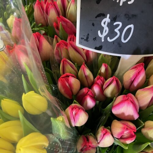 Flowers & Bouquets Ballarat Stems Flower Market