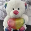 Rainbow Bear - Image 2