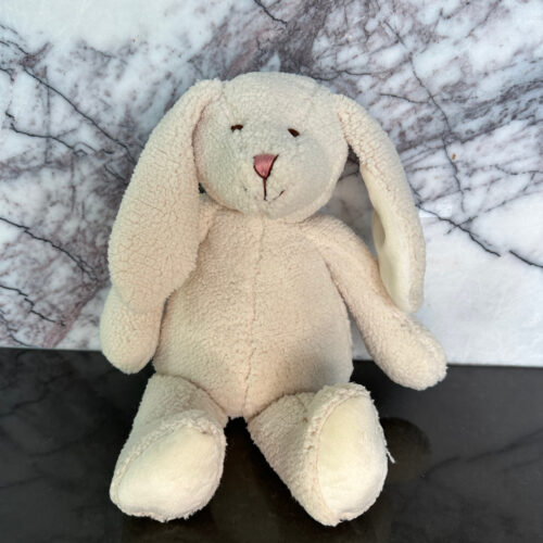 Bella the Bunny