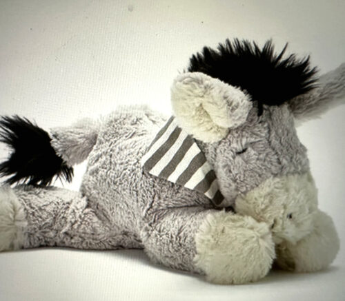 Dexter the Donkey