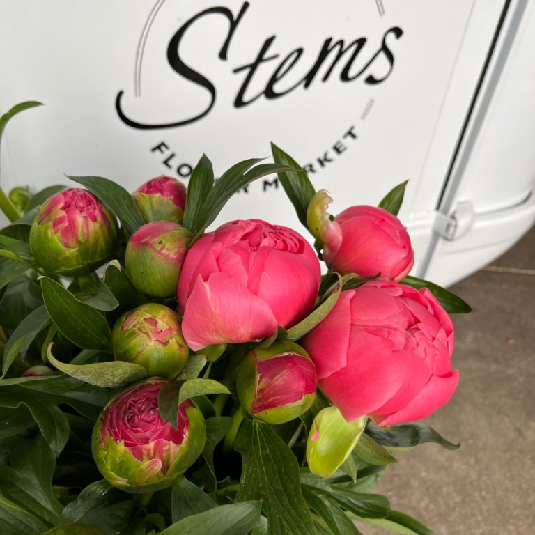 Flowers & Bouquets Ballarat Stems Flower Market