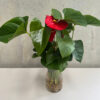 Antherium Pot - Image 2