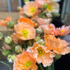 Giant gorgeous Poppies - Image 2