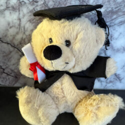 Graduation Bear