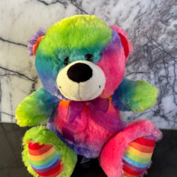 Mr Brightside Bear