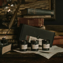 The Archival Collection Petite Pack