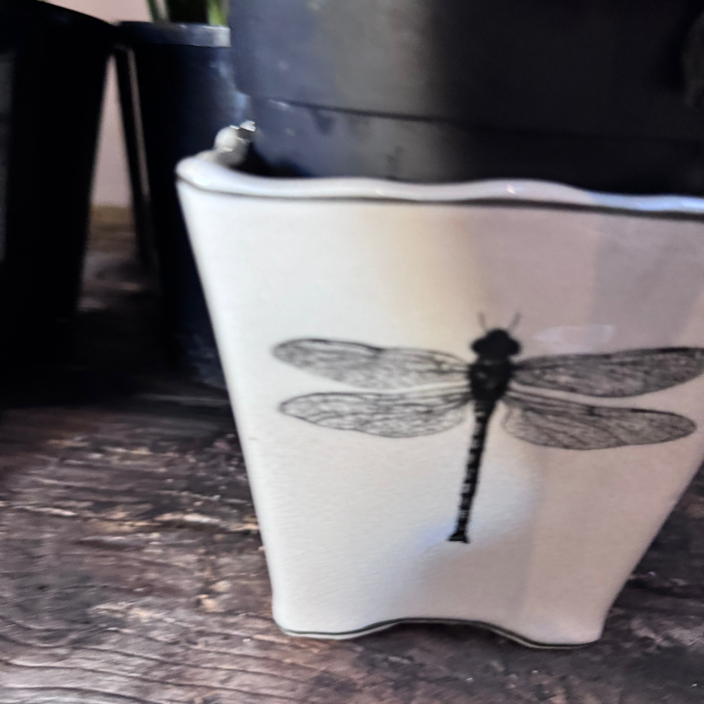 Dragonlfly Ceramic at Stems