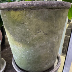 Stems Moss Pot