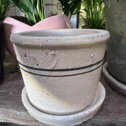 Stems Herb Pot