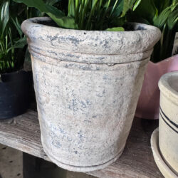 Concrete Planter at Stems